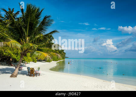 Spiaggia di sabbia bianca e acqua turchese, Sun Island Resort, isola di Nalaguraidhoo, atollo di Ari, Maldive, Oceano Indiano, Asia Foto Stock