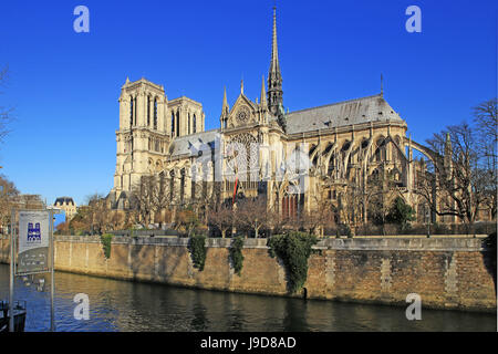 Senna con la cattedrale di Notre Dame, Sito Patrimonio Mondiale dell'UNESCO, Parigi, Ile de France, Francia, Europa Foto Stock