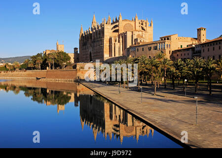 Parc de la Mar, Cattedrale La Seu, Palma de Mallorca, Maiorca, isole Baleari, Spagna, Mediterraneo, Europa Foto Stock