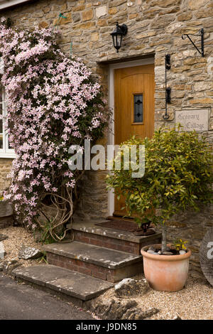 Regno Unito Inghilterra, Dorset, Langton aringa, il Quadrato, Clematis crescente accanto a porta anteriore del granaio Cottage Foto Stock