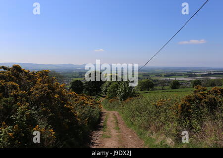 Cateran Trail tra Alyth e Kirkton Of Glenisla Scozia Maggio 2017 Foto Stock