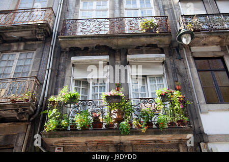 Balcone con piante su proprietà sulla Rua Das Taipas in Porto - Portogallo Foto Stock