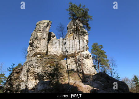 Le formazioni rocciose nel Paradiso Boemo Geoparco. Hruboskalsko è una riserva naturale nel paesaggio protetto area paradiso ceco Foto Stock