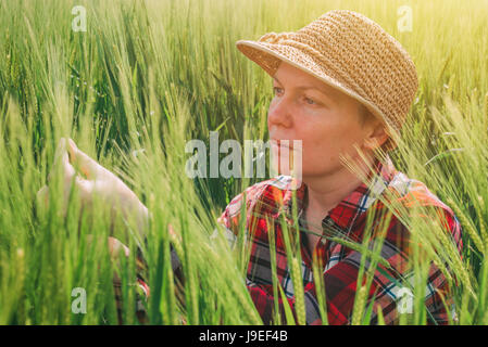 L'agricoltore femmina esaminando raccolto di orzo orecchie, lavoratore agricolo interessato controlla lo sviluppo della pianta Foto Stock