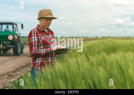 Smart farming, utilizzando la moderna tecnologia in attività agricola, femmina agricoltore agronomo con tavoletta digitale computer utilizzando mobile app in colture di frumento Foto Stock