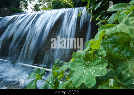 Viaggi, FLUENT, acque, parco, attrazioni, europa, stream, visite turistiche, cascata, Foto Stock