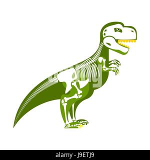Scheletro di dinosauro. Osso fino sul mio corpo. T-Rex e il cranio. Tyrannosaurus mostro preistorico predator Raptor Illustrazione Vettoriale