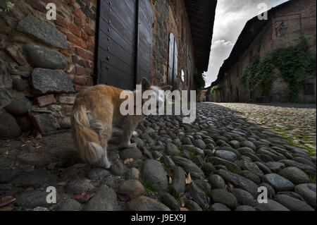 Candelo (Vc), il Ricetto. Candelo, il Ricetto Foto Stock