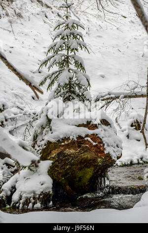 Vidin, Plovdiv, Koprivshtitsa, Teteven, Malyvitsa pick, Rila e montagne Pirin, Pancharevo lake, Etara: luoghi belli da Bulgaria, Europa Foto Stock