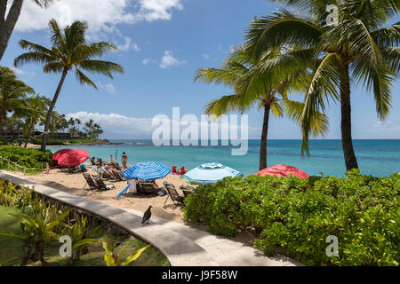 Ombrelloni colorati sulla spiaggia di Kaanapali Hawaii. Foto Stock