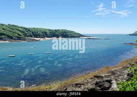 Spiagge a Salcombe estuario visto dal Salcombe nel sud prosciutti, Devon Foto Stock