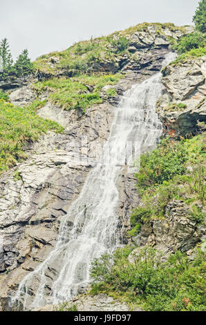 Cascata Capra di Fagaras monti Carpazi con erba verde e rocce, Transfagarasan road Foto Stock