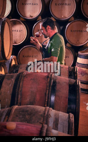 Degustazione di vini un controllo di qualità con cantina lavoratore controllare l'aroma di un campione di Pinot Noir prese dalla camera di Le Clos cantine Louis Latour, Beaune, Côte d'Or, Francia. Foto Stock