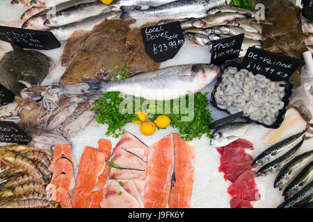 La pesca worker gestisce sacchi di buccino fresca / sbarco appena catturati conchiglia (crostacei) al West Quay Porto Whitstable Kent REGNO UNITO. (77) Foto Stock