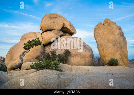 Rocce Jumbo a Joshua Tree National Park, California, Stati Uniti d'America. Foto Stock