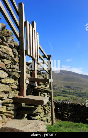 Stile con gradini in pietra oltre il muro di pietra Foto Stock