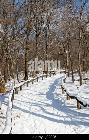 Un sentiero vuoto curve nel la distanza in una pittoresca vista la mattina dei boschi del Parco Centrale dopo una tempesta di neve in New York City Foto Stock