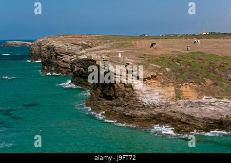 Sea Cliff, Ribadeo Lugo, provincia, regione della Galizia, Spagna, Europa Foto Stock