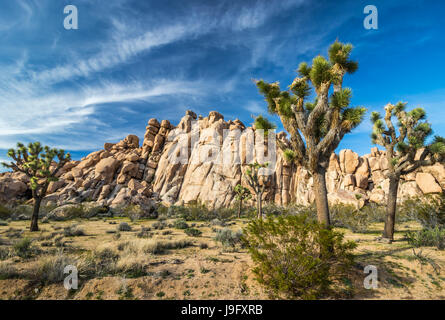 Rocce Jumbo a Joshua Tree National Park, California, Stati Uniti d'America. Foto Stock