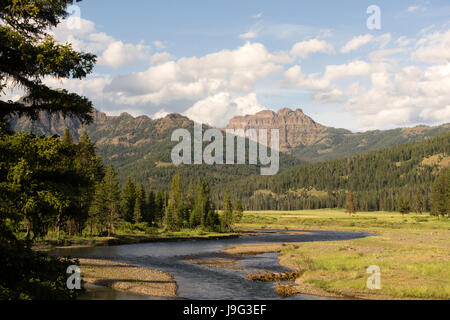 La valle di lamar detiene un fiume che porta lo stesso nome a Yellowstone, wyoming Foto Stock