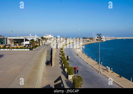 La passeggiata lungo Juan Carlos l Royal Marina a Valencia in Spagna. Foto Stock