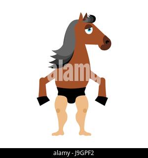 Centaur creatura da favola. L uomo cavallo isolato. Animale fantastico. Centauro della mitologia bestia monster Illustrazione Vettoriale