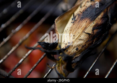 Naranjo en Flor è una fotografia gastronomica studio, basato in Santiago de Chile. Abbiamo creare immagini con responsabilità e buon gusto. Foto Stock