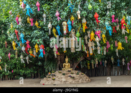 Le lanterne cinesi appendere sull'albero sotto cui si siede Buddha, Phonrat Witthayakon (Wat Phan Tao) School, Chiang Mai, Thailandia Foto Stock