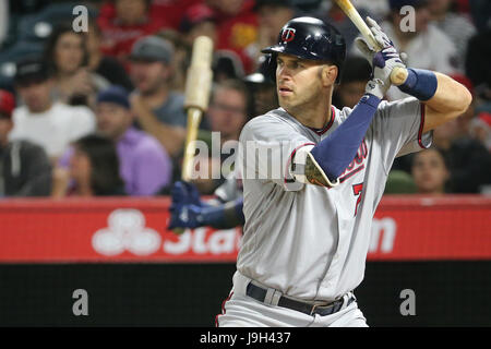 Anaheim, California, USA. 1° giu, 2017. Minnesota Twins primo baseman Joe Mauer #7 pipistrelli per i gemelli in gioco tra il Atlanta Braves e Los Angeles gli angeli di Anaheim, Angel Stadium di Anaheim, CA, fotografo: Pietro Joneleit Credito: Cal Sport Media/Alamy Live News Foto Stock