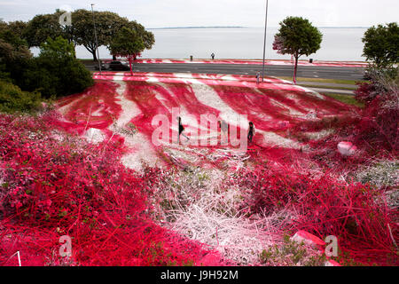 Aarhus, Danimarca. 02Giugno, 2017. Katharina Grosse di arte di installazione ha creato enormi reazioni dopo l'artista tedesco ha dipinto una sezione del paesaggio urbano Mindeparken con il bianco e il rosso lacca acrilica come parte del museo di arte ARoS Kunstmuseum su andando mostra "Il Giardino" di Aarhus. Credito: Gonzales foto/Alamy Live News Foto Stock