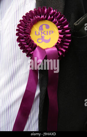 Londra, Regno Unito. 2 Giugno, 2017. Il UKIP roselett. Credito: Dinendra Haria/Alamy Live News Foto Stock