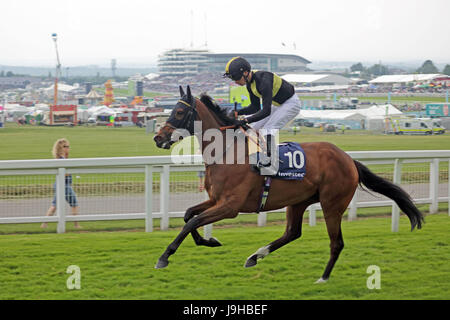 Epsom Downs, Surrey, Regno Unito. 2 Giugno 2017. Onorevoli giorno su Epsom Downs nel Surrey. Pre gara non preferiti 10 Brorocco e cavaliere o testa di Murphy per l'inizio del 3,45 Investec Wealth & Investment Handicap. Credito: Julia Gavin UK/Alamy Live News Foto Stock