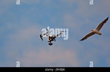 Bristol, Regno Unito. 31 maggio, 2017. seagull a razze da flying drone oltre il porto di galleggiante in bristol . robert timoney/alamy live news Foto Stock