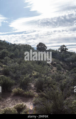 Viaggio in California Foto Stock