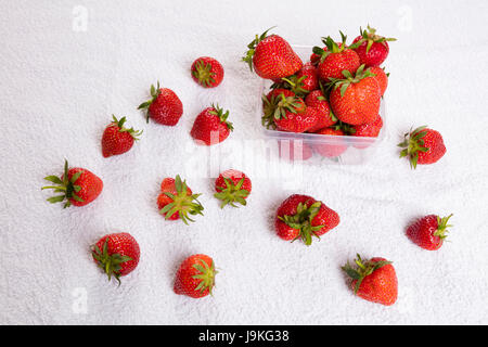 Schachtel mit Erdbeeren Foto Stock