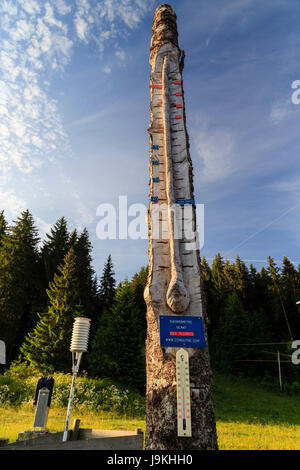 Francia, Doubs, Parc naturel régional du Haut-Jura (Giura Parco naturale regionale), Mouthe, gigante termometro in legno che mostra record freddo Foto Stock