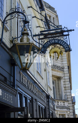 Il Vello d'Oro Public House - Chelmsford Essex, Inghilterra, Regno Unito Foto Stock