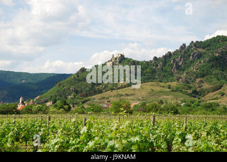 Hill, agricoltura, allevamento, campo vuoto, europeo, caucasica, Austria, Europa Foto Stock