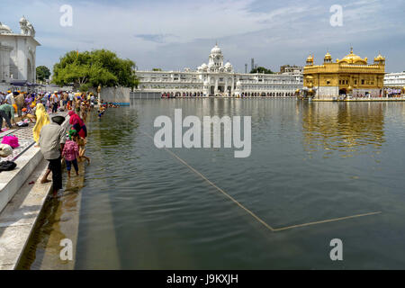 Tempio d'oro, amritsar Punjab, India, Asia Foto Stock