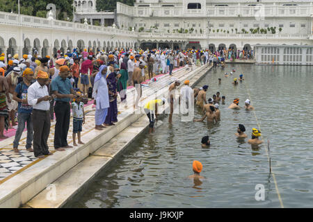 La gente di balneazione in stagno, tempio dorato, amritsar Punjab, India, Asia Foto Stock