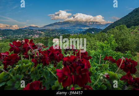 Vista aerea del comune di crusca in Brasov County della regione storica Transilvania, Romania Foto Stock