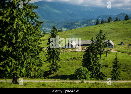 Paesaggio con una verde delle montagne dei Carpazi in Transilvania regione storica della Romania Foto Stock