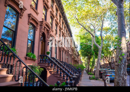 Vista panoramica di un classico Brooklyn blocco di arenaria con una lunga facciata ed ornato stoop balaustre in un giorno di estate in New York City Foto Stock