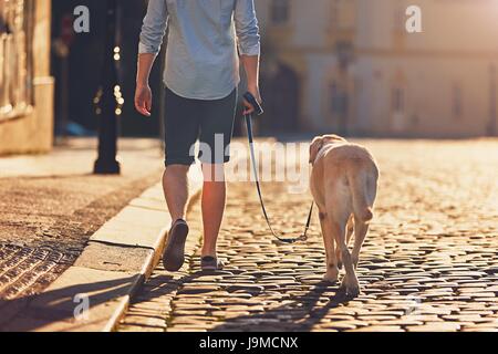 La mattina in città. Giovane uomo che cammina con il suo cane sulla vecchia strada al golden sunrise. Praga, Repubblica Ceca Foto Stock