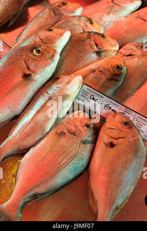 Denci o Orate di mare Pesce fresco per la vendita su un mercato in stallo a Marsaxlokk Malta Foto Stock