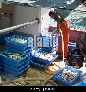 Pescatore il lavaggio del gancio a Peniscola quay Foto Stock