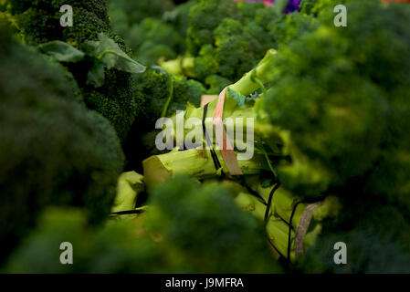 Mazzetti di broccoli assemblato per la vendita in un mercato ortofrutticolo. Foto Stock