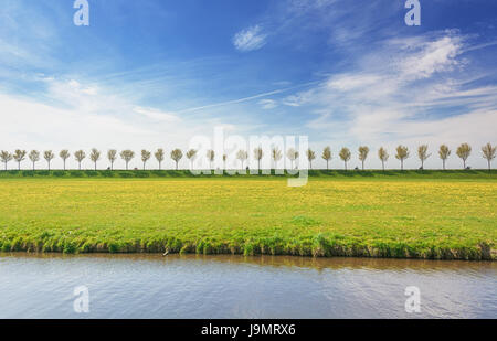 Motociclisti su una diga con una fila di treesin il Beemster Polder, un paesaggio culturale che si trova a nord di Amsterdam, risalente ai primi del XVII centur Foto Stock