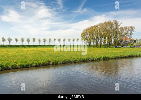 Diga di una fila di alberi e casale di Beemster Polder, un paesaggio culturale che si trova a nord di Amsterdam, risalente agli inizi del XVII secolo Foto Stock