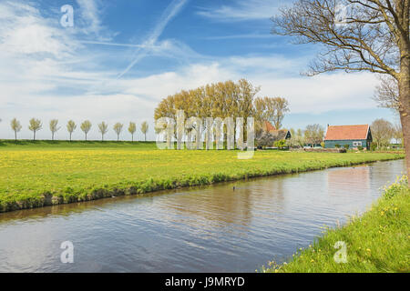 Diga di una fila di alberi e casale di Beemster Polder un paesaggio culturale che si trova a nord di Amsterdam, risalente agli inizi del secolo XVII, un Foto Stock